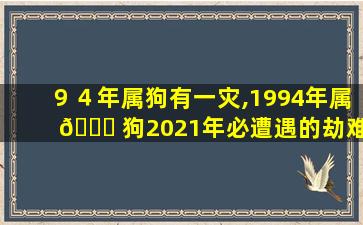 ９４年属狗有一灾,1994年属 🐛 狗2021年必遭遇的劫难